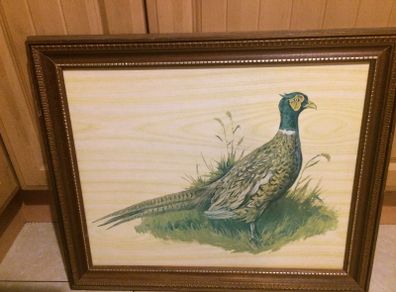 Pheasant picture framed free postage
