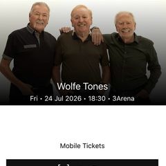Wolfe Tones Concert
