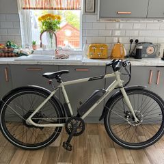 RadMission 1 Electric Bike