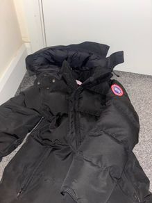 canada goose