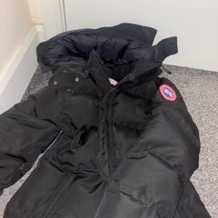 canada goose