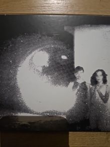 Other Lives - Tamer Animals.