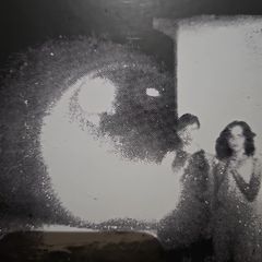 Other Lives. Tamer Animals.