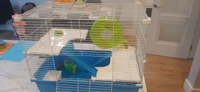 Hamster Cage