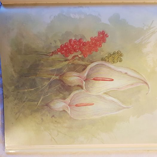 Beningfields Woodlands. Beautiful paintings by Gordan Beningfield of woodland and it birds and animals.
