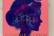 Undercover Princess Book