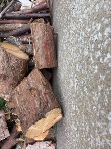logs