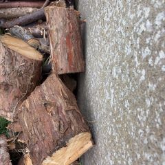 logs