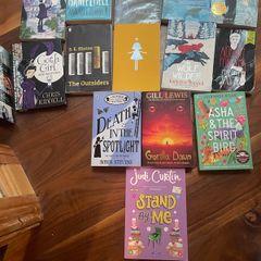 Selection of young adult fiction books
