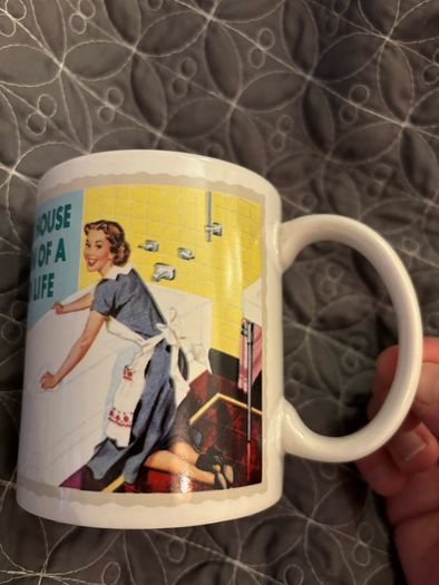 A clean House Is A Sign Of A Wasted Life Mug