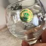 Rare Vintage Penrose Glass Waterford Sherry Glasses Set of 6 Etched Grapes Pattern Factory New In Box NIB Image 2