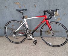 adult giant road bike