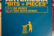 Artemesia - Bits + Pieces