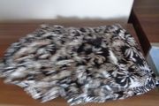 Ladies Cotton Shorts for Sale