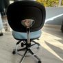 Therapists chair Image 3
