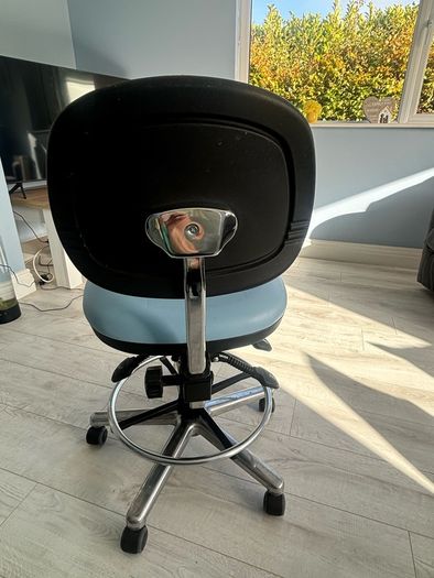 Therapists chair