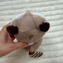 Ty Beanie Baby Bellies Petey the Raccoon approx. 6 Inch Plush Used Please see pictures Image 7