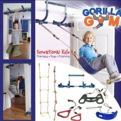 Gorilla Gym Deluxe Indoor Playground