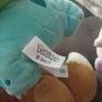 Pokemon teddies x 3 Image 3