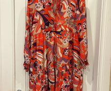 Ladies dress