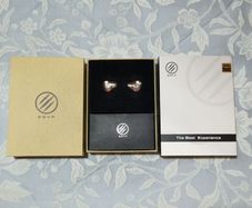 BGVP DM6 Earphones In-Ear Monitors (IEMs)