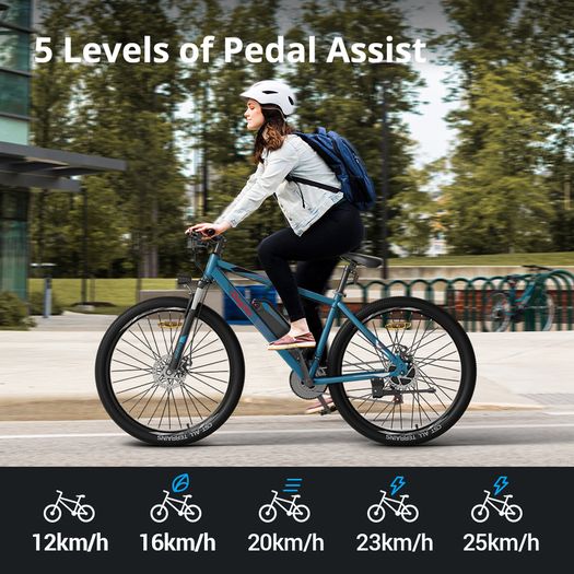 Eleglide M1 Upgraded Electric Bike