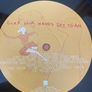 Clap Your Hands And Say Yeah - Clap Your Hands And Say Yeah (First EU Press) Image 3