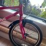 Frog bike Image 4