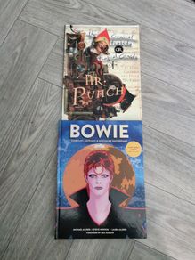Graphic Novels (Bowie & Mr Punch)