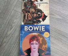 Graphic Novels (Bowie & Mr Punch)