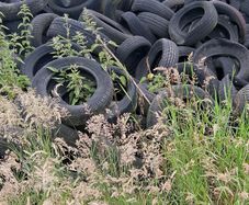 old car tyres