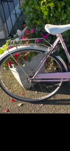 ladies bike