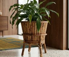Pending Collection Vintage Bamboo Plant Stand