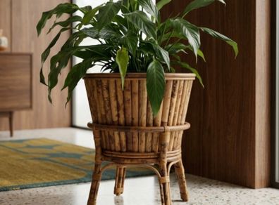 Pending Collection Vintage Bamboo Plant Stand