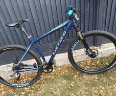 Carrera Hellcat mountain bike