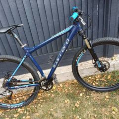 Carrera Hellcat mountain bike