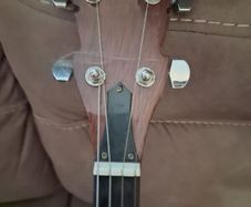 Kay tenor banjo