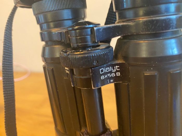 Binoculars: ZEISS Dialyt 8x56 B