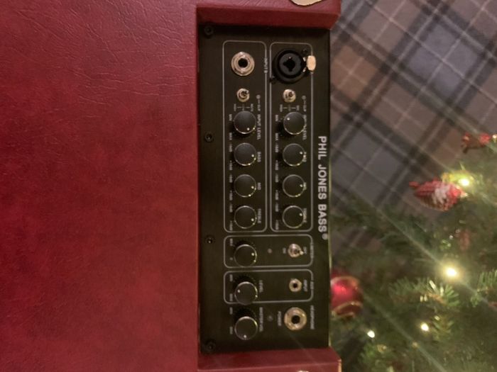Phil Jones BG-110 Bass Cub Combo bass amp
