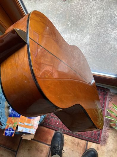 Sx acoustic guitar