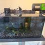 Fish Tank Complete Setup 27L Aquarel Aquarium Image 7