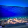 Philips 58 inch 4K UHD TV, Ambilight, Android TV, Dolby Vision Atmos Image 3