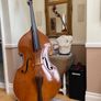 Double Bass 3/4 solid wood, bow & case + pickup Image 5
