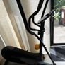 Elliptical Image 10