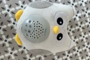 Soothing sleep owl - music and star projection
