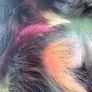 Fur Scarf Image 3