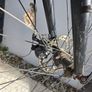 Adult bike Image 7