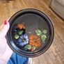 folkart tin plates Image 2