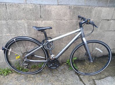 Adult bicycle (Giant)