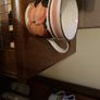 Arklow Expresso coffee cup Image 3